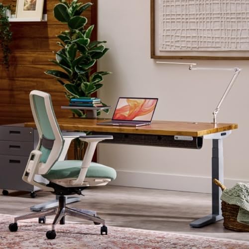 UPLIFTDESK E7 LED Desk Lamp with Clamp