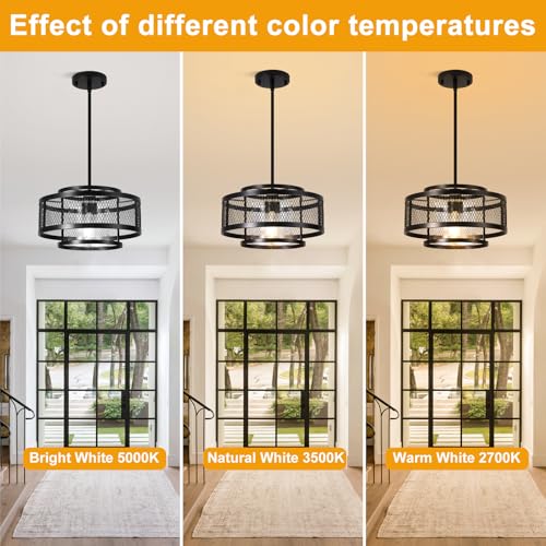 13" Dining Room Light Fixture