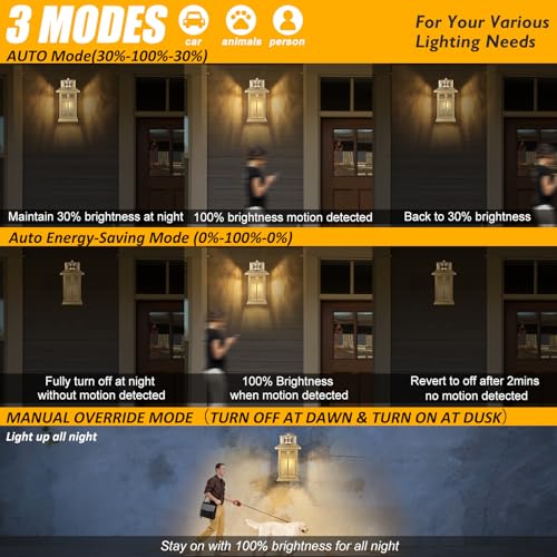 Exterior Motion Wall Sconce (2 Count)