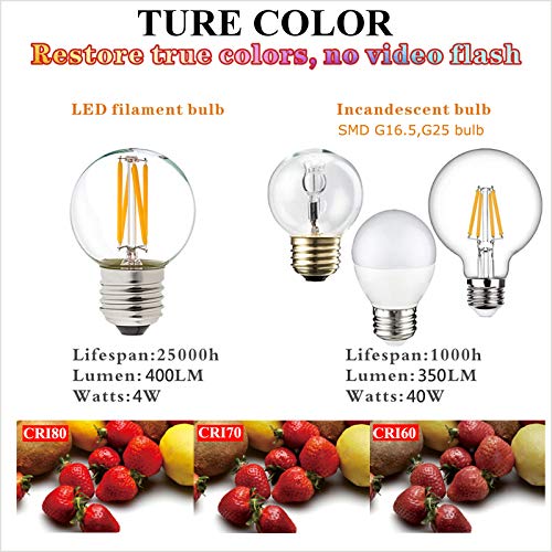 Dimmable G16.5 E26 Bulb (6 Count)