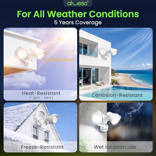 Motion Sensor Outdoor Lights