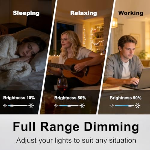 12PK Slide Dimmer Light Switch (12 Count)
