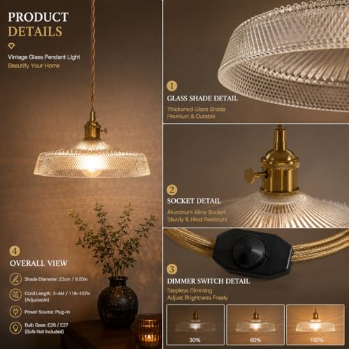 Vintage Plug in Pendant Light with Thickened Clear Glass Shade