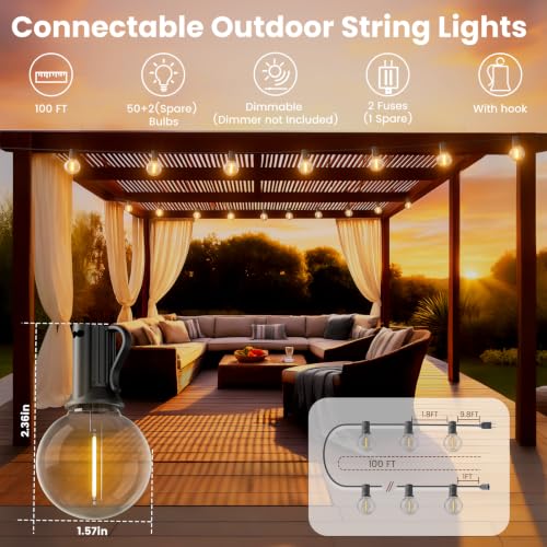 Outdoor String Lights 100 FT (100 Foot)
