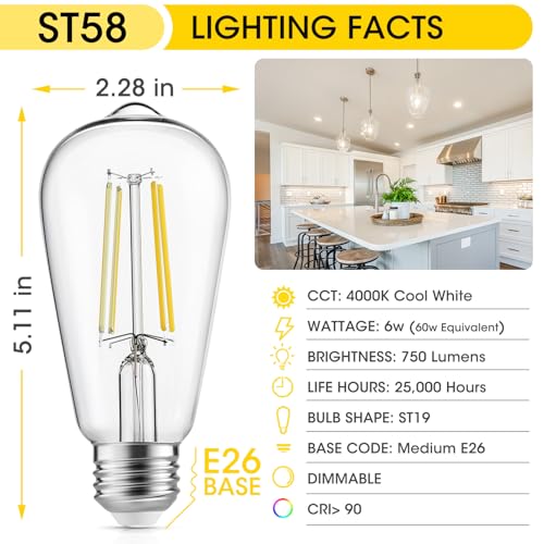LED Edison Light Bulbs (24 Count)
