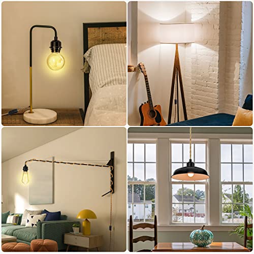 Plug in Pendant Light Cord