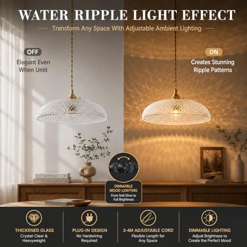 Plug in Pendant Light