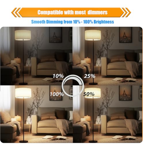 8 Pack Dimmable LED Edison Bulbs 40W Equivalent (8 Count)