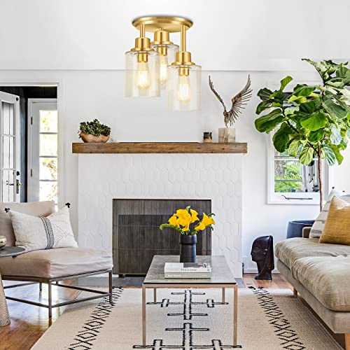 Semi Flush Mount Ceiling Light
