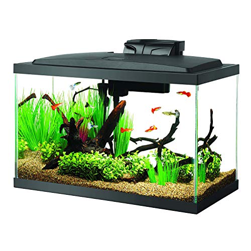 Aquarium Starter Kit with Smart Clean Filtration and LED Lighting