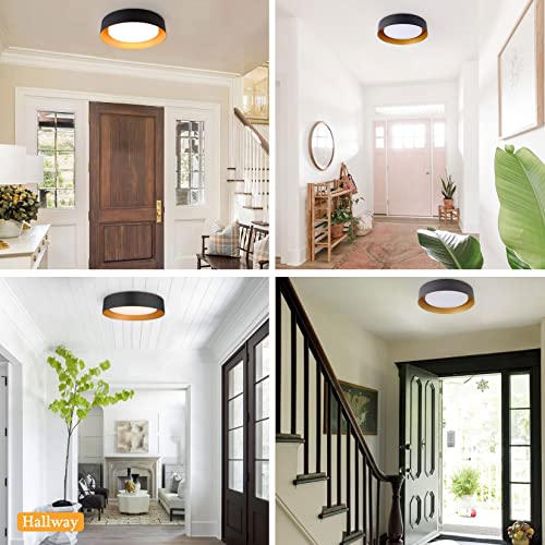 16.5 Inch Flush Mount Ceiling Light
