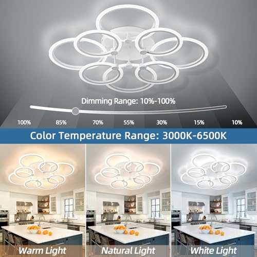LED Ceiling Light