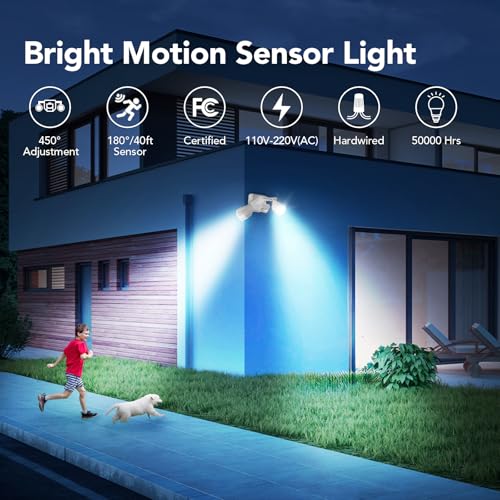 Motion Sensor Outdoor Lights
