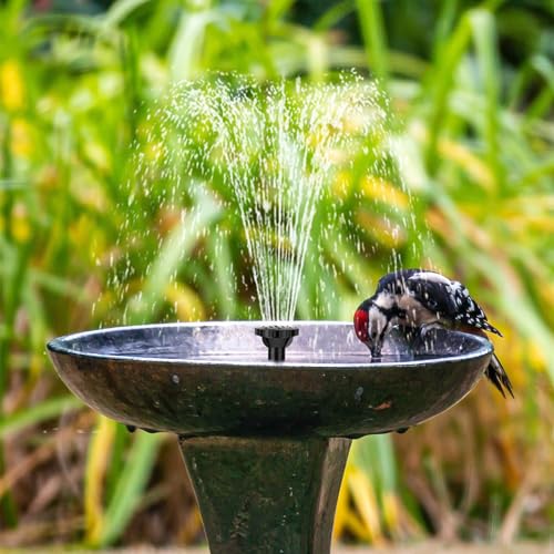 7.5W Solar Water Pump Outdoor 80 GPH with Dry