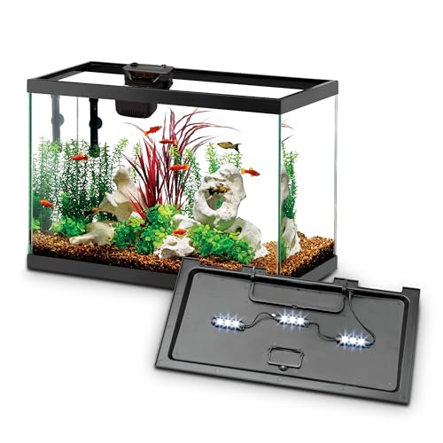 Aquarium Starter Kit with Smart Clean Filtration and LED Lighting