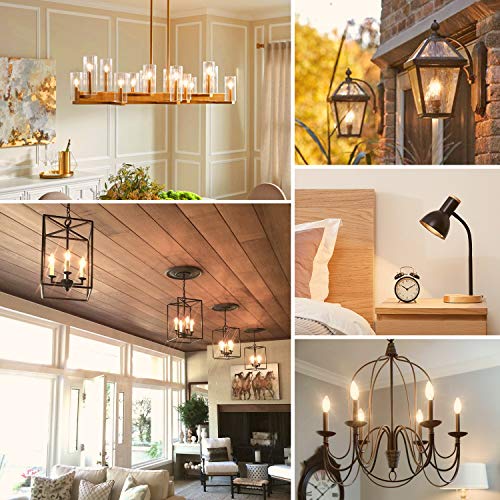 6 Pack Dimmable E12 LED Candelabra Bulbs 60W Equivalent (6 Count)