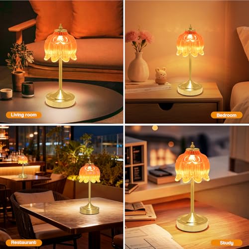 Cordless Table Lamp