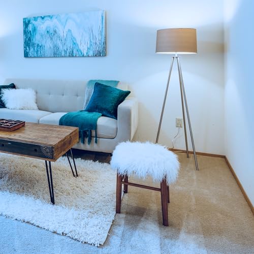 OM60/950CA/AG 60W Equivalent 2.4GHz WiFi Dimmable, No Hub Required, Alexa Google Assistant A19 Smart LED Light Bulb, 4.4" H x 2.3" D, 5000K Daylight