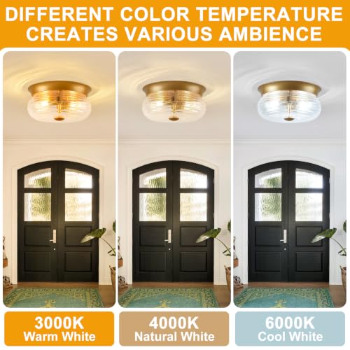 Gold Flush Mount Ceiling Light Fixtures (Gold + Clear Air Bubble Glass(No Assembly Required))