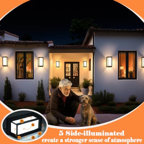 3CCT Porch Lights Outdoor Light Fixture