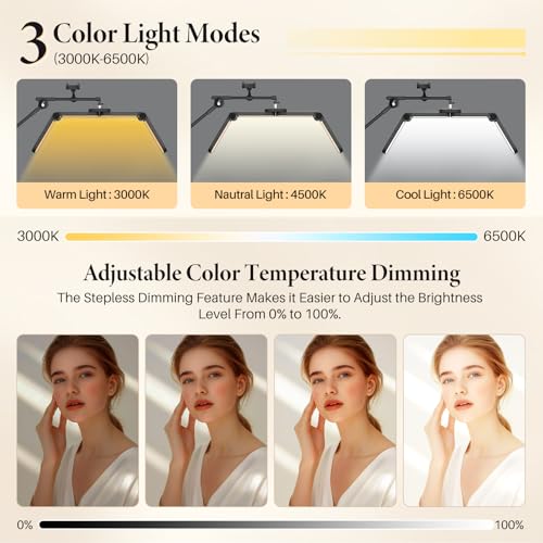Half Moon Lash Light