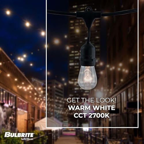 STRING15/E26-S14KT Outdoor, Garden, Patio, Wedding, Party, Holiday, Lawn, and Landscape String Light w/Incandescent Bulbs, 48-Feet, 15 Lights