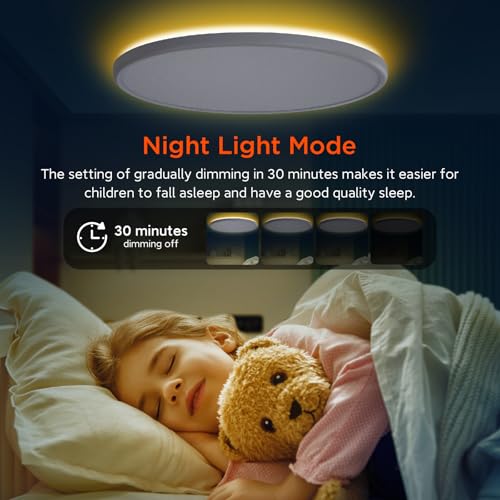 18 Inch Dimmable Flush Mount Ceiling Light with Remote