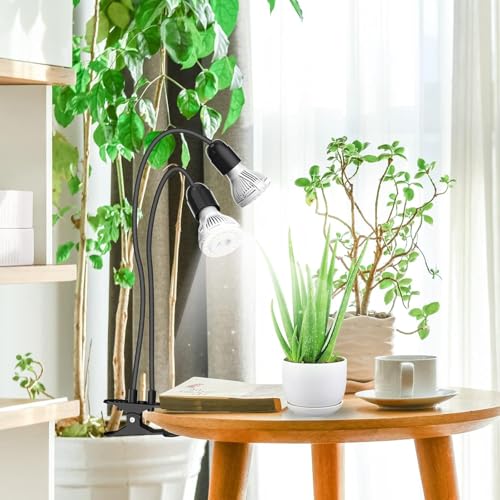 LED Grow Lights for Indoor Plants