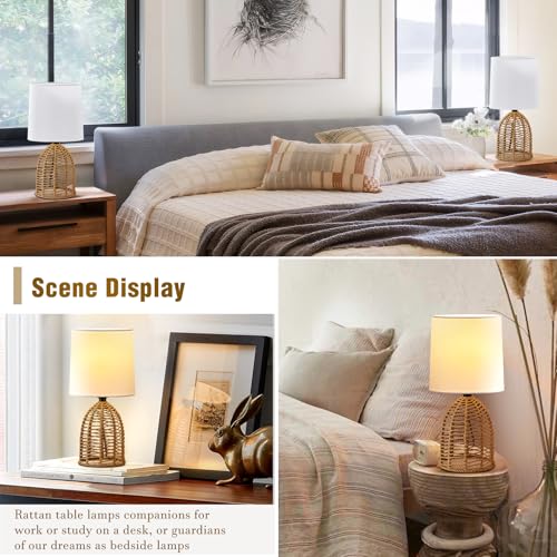 Rattan Lamp Boho Lamps Set of 2 (2 Count)