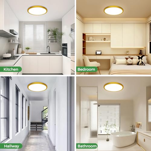 1Pack LED Flush Mount Ceiling Light