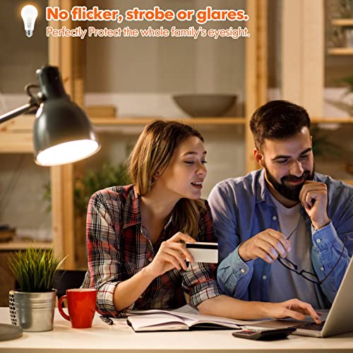 LED Light Bulbs (10 Count)