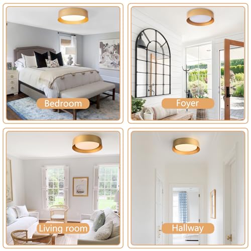 Gold Flush Mount Ceiling Light