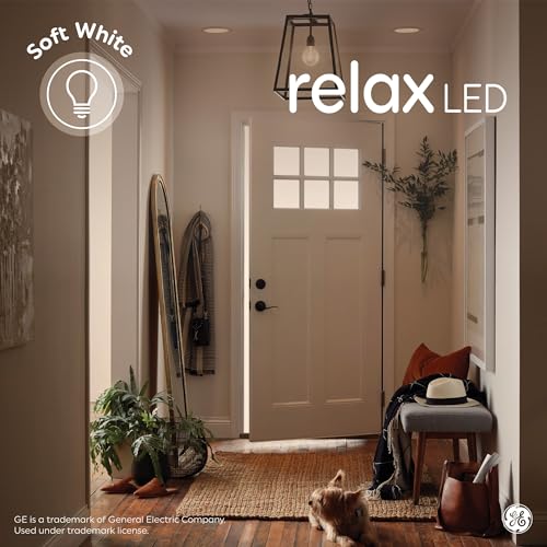 Relax HD LED Light Bulbs (24 Count)