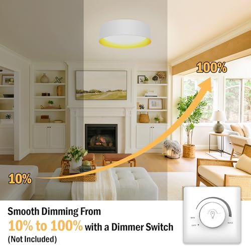 Flush Mount Ceiling Light