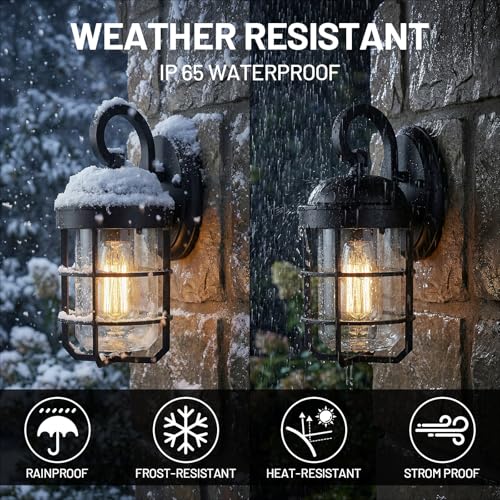 Outdoor Wall Light Fixtures for House (2 Count)
