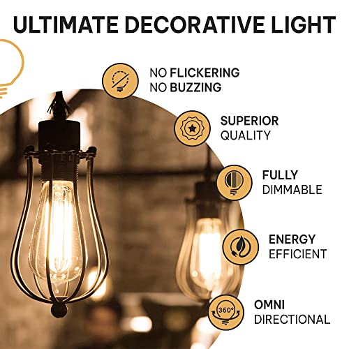 Vintage Incandescent Edison Light Bulbs (6 Count)