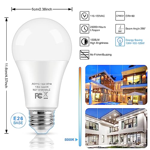 LED Light Bulbs (10 Count)