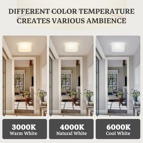 Semi Flush Mount Ceiling Light Fixture
