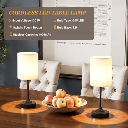 Touch Control Cordlss Table Lamp