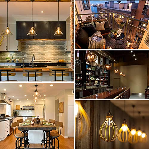 Dimmable Vintage Edison Bulb 4W
