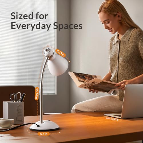 Metal Desk Lamp