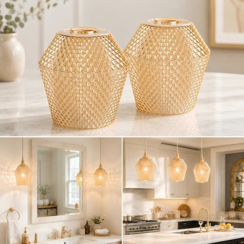 2Pcs Small Glass Lamp Shades (2 Count)