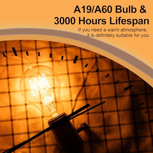 Warm Incandescent Light Bulbs 60 Watt (12 Count)