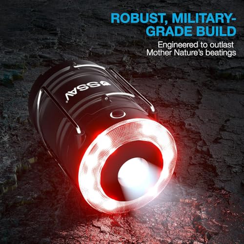 2 Pack Battery Powered LED Lanterns with Batteries for Each Lantern (2 Count)