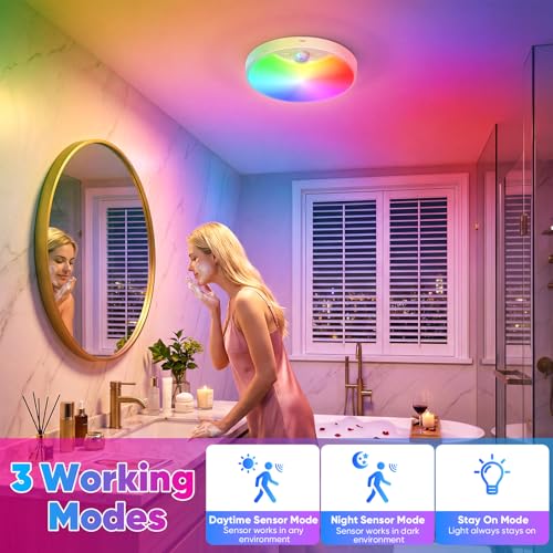 Rechargeable Motion Sensor Ceiling Light