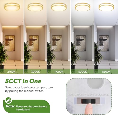 13 Inch Flush Mount Light Fixtures (2 Count)