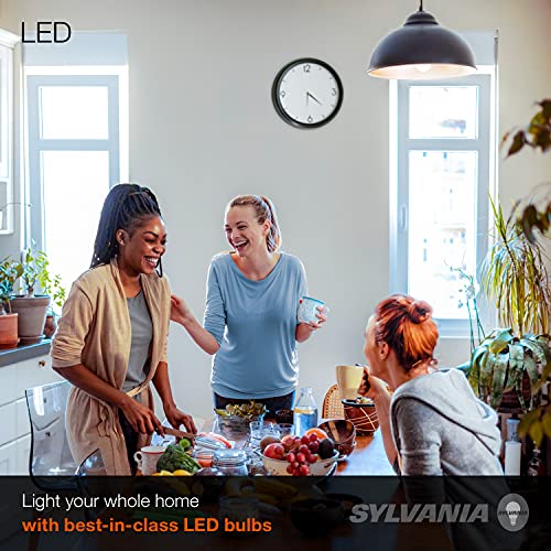Sylvania LED Light Bulb