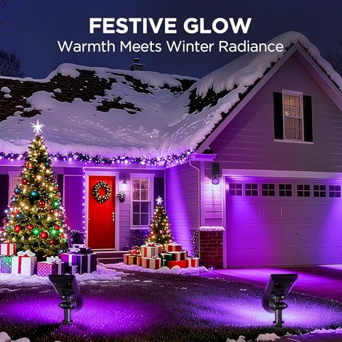 2 Solar Lights Outdoor Spotlight for Halloween Christmas (2 Count)
