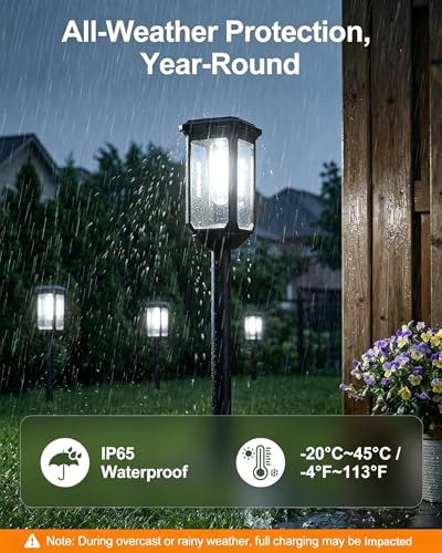 Solar Pathway Lights Outdoor 2 Pack