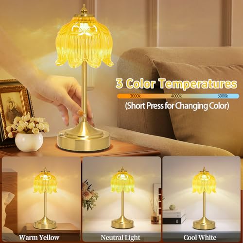 Cordless Table Lamp
